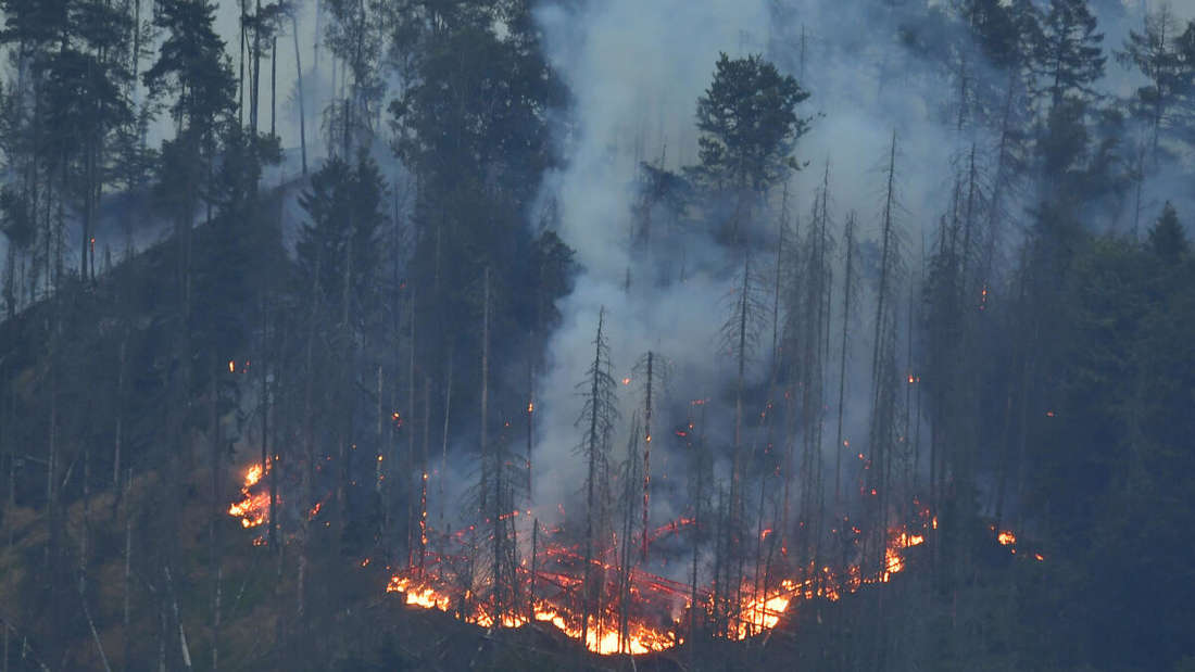 Tschechien, Hrensko: Ein großer Waldbrand im Nationalpark Böhmische Schweiz nahe der Grenze zu Sachsen.