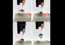 They make robots from dead spiders