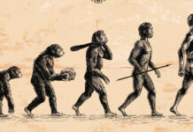 How natural selection has shaped modern humans