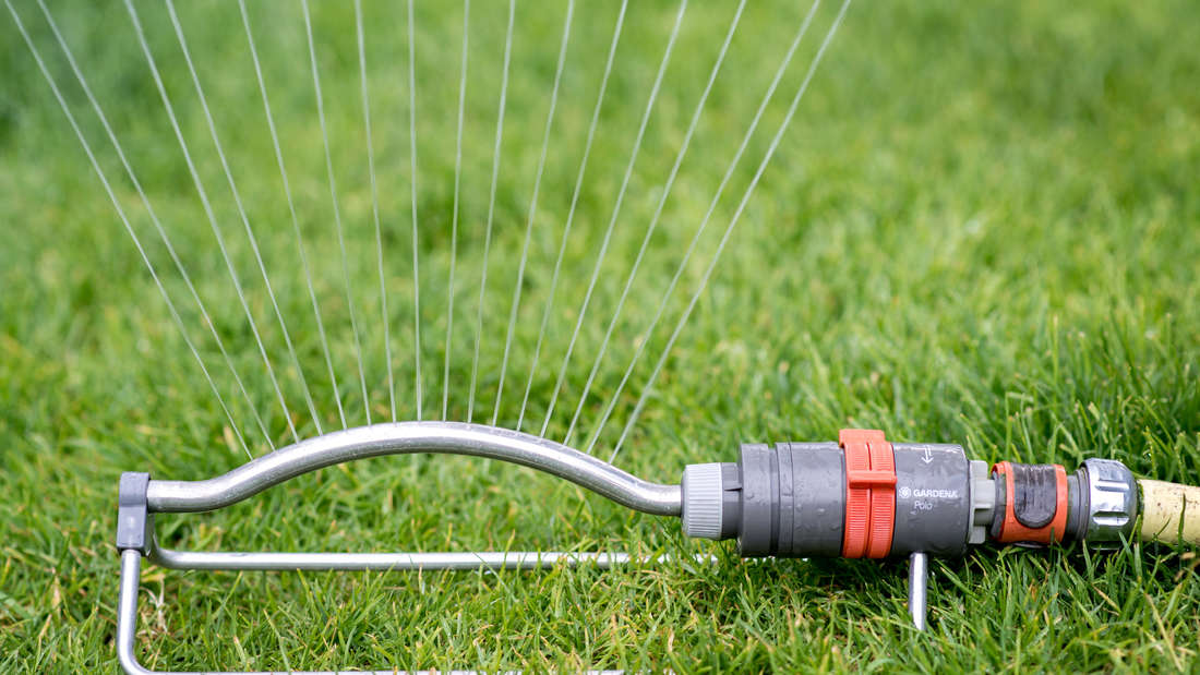 Ein Rasensprenger verteilt Wasser über einer Rasenfläche in einem Garten.