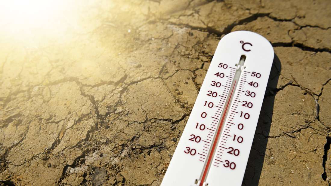 Das Wetter bleibt in dieser Woche heiß und trocken. Die Temperaturen erreichen Höchstwerte von bis zu 38 Grad. Es wird kein Niederschlag erwartet.