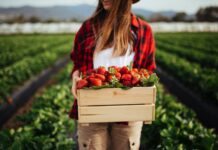Is 'organic farming' really organic?