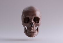 The human brain did not shrink 3,000 years ago