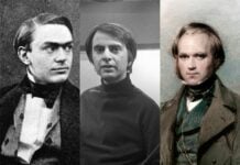 Scientists also fall in love