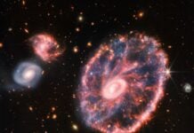James Webb captures an impressive image of the Cartwheel galaxy
