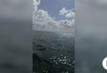 A plane crashes while maneuvering to reveal the sex of a baby