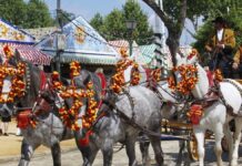 Coronavirus Andalusia: Level 3 of health alert leaves the province of Seville without parties, pilgrimages or festivals