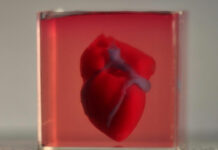 They create a heart printed in 3D with human tissue