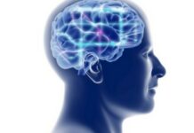 Being prone to depression depends on a single protein