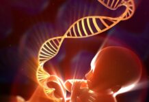 Schizophrenia is born in the womb
