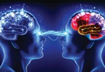 This is how cocaine works in the brain