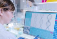 DNA: how much DNA measures, what it is and what it is made of