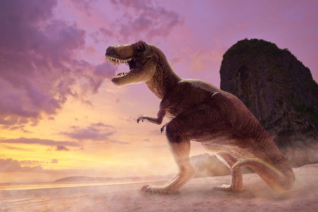 Raurus Rex Curiosities about the Tyrannosaurus Rex - Padeye