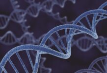 Biotechnology, key in the medicine of the future