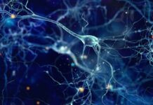 The most common diseases of the nervous system