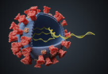How does the coronavirus display its genetic material?