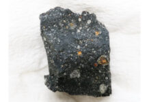 Sugars essential for life found inside meteorites