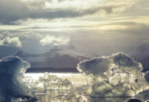 Ten things you didn't know about Antarctica
