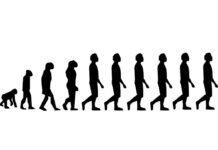 They reveal the origin of the hominids of the Sima de los Huesos