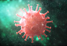 Are there organisms that feed on viruses?