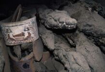 The case of the false mummified animals