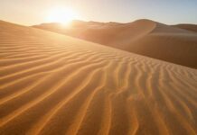 What is the largest desert in the world and what continent is it on?
