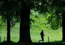 The history of running – from the hunter to the jogger