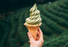 3 vegan ice cream recipes, healthy recipe to make at home