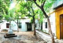 Things to do in Barrio Santa Cruz de Sevilla