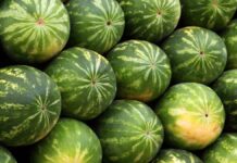 Enjoy a good watermelon in summer with these tricks