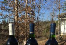 Arkansas Wine and Wineries