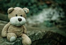 What is vicarious violence and how is it related to the case of the girls in Tenerife?
