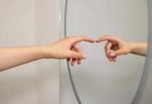 Types of mirrors, shapes and what are their uses