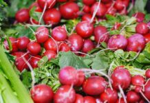 Radish salad recipe