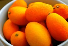 Kumquat: recipes, how to eat and properties of the dwarf orange