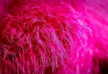 Magenta color: curiosities and how to achieve it