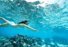 All about Moorea, the "Magic Island of Tahiti"