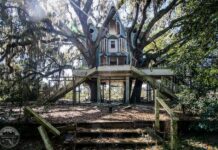 Brooksville, Florida