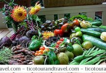 A list of health food stores in Kansas City