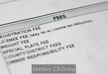 Register your car in Arkansas