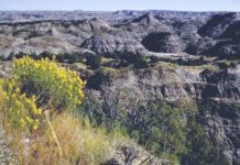 Theodore Roosevelt National Park, North Dakota