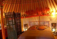 The yurt garden