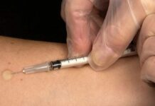 The European Union warns: the Indian strain has "high risk" in those not completely vaccinated, 61% of Spaniards | Coronavirus