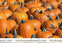 Corn mazes on Long Island, NY