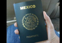 Five interesting facts about your passport