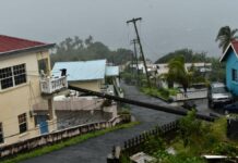 Highest alert: Storm "Elsa" sweeps towards Haiti