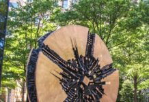 The Great Disc