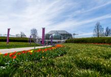 Phipps Conservatory and Botanical Gardens