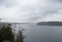 Things to do at Tacoma's Awesome Point Defiance Park