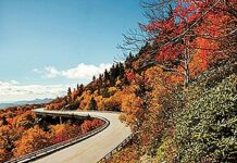 Vermont's Best Fall Foliage Units
